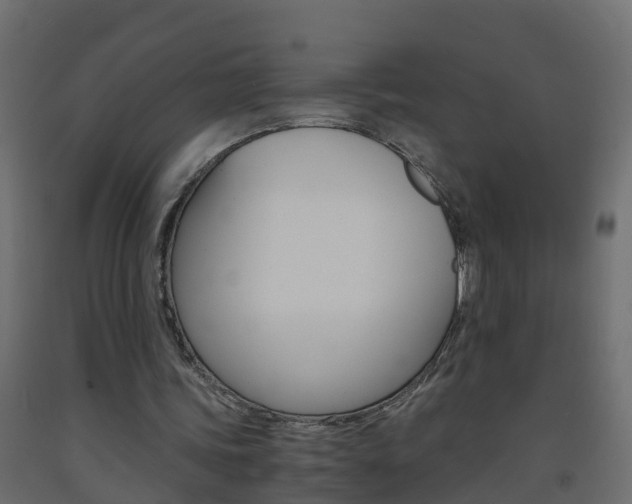 X0000093570339200710151021