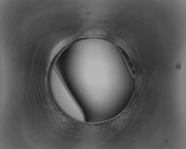 X0000093570340200710151021