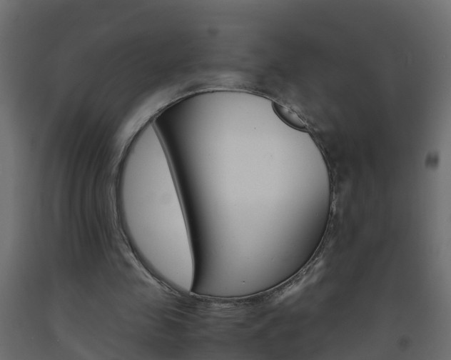 X0000093570341200710151021