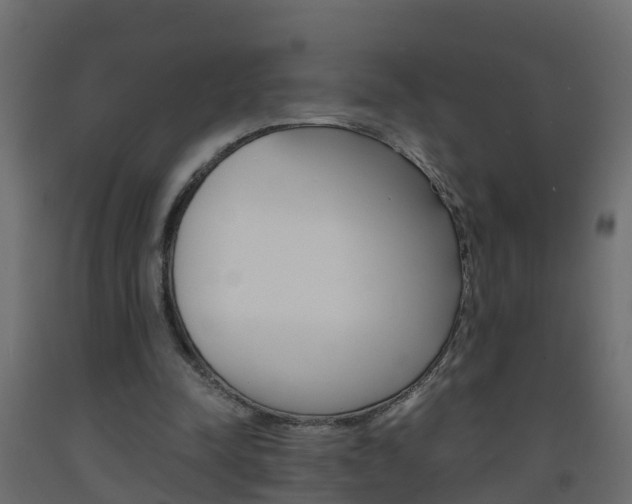 X0000093570342200710151021