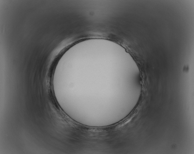 X0000093570343200710151021