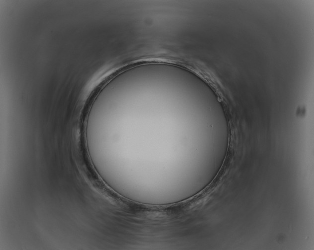 X0000093570344200710151021