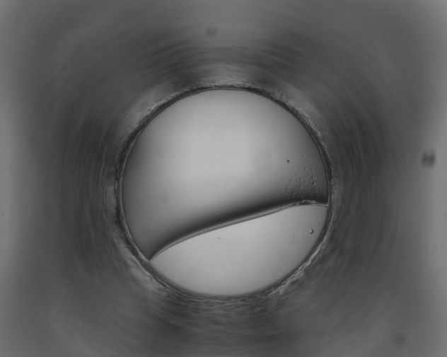 X0000093570345200710151021