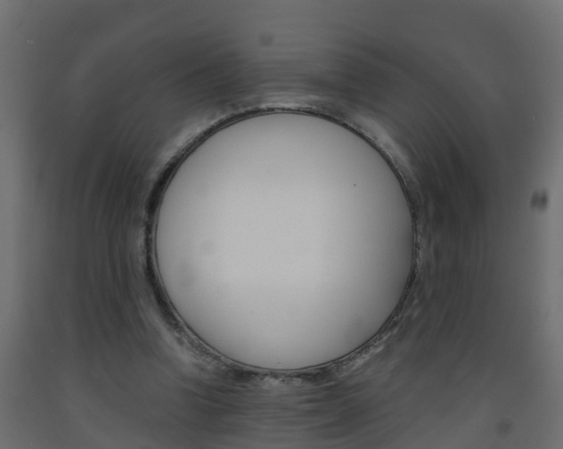 X0000093570346200710151021