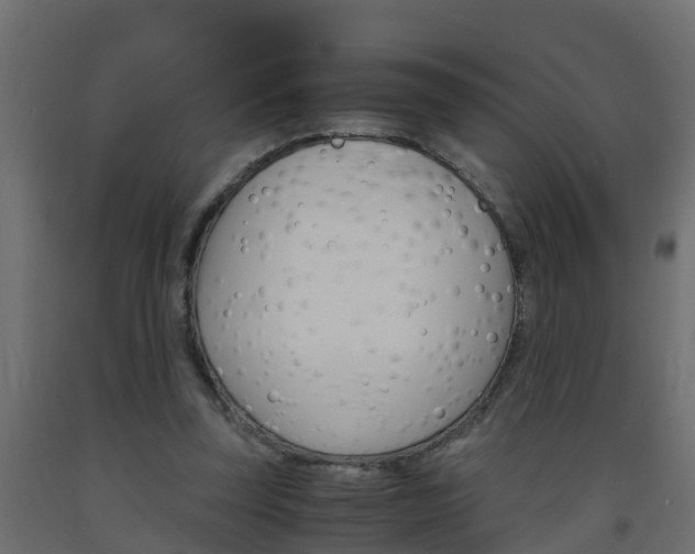 X0000093570347200710151021