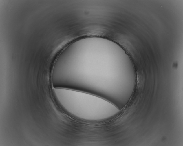 X0000093570348200710151021