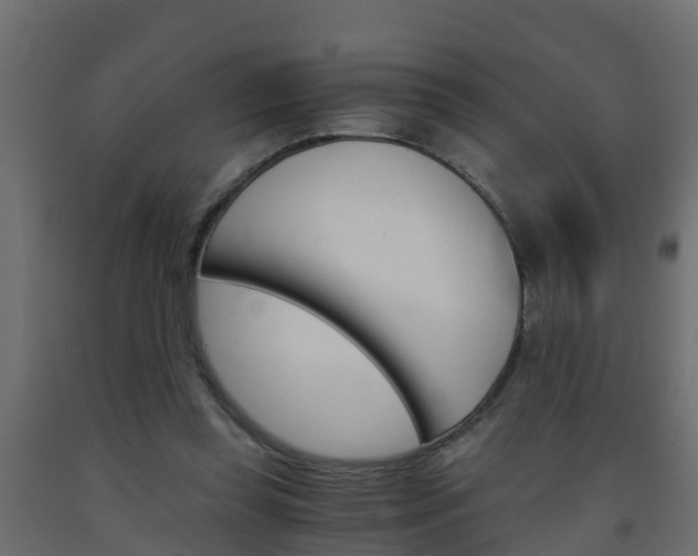 X0000093570349200710151021