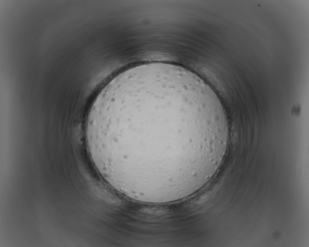 X0000093570351200710151021