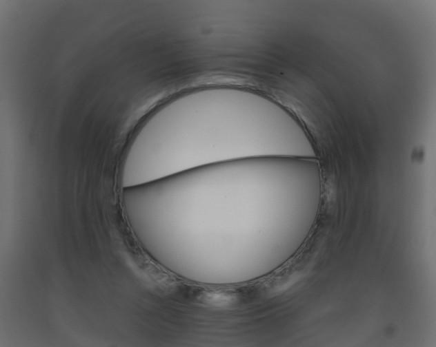 X0000093570352200710151021