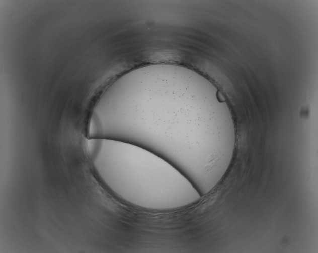 X0000093570353200710151021