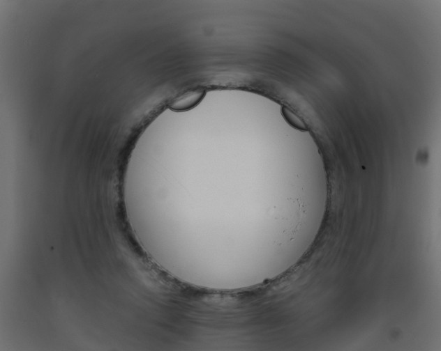 X0000093570354200710151021