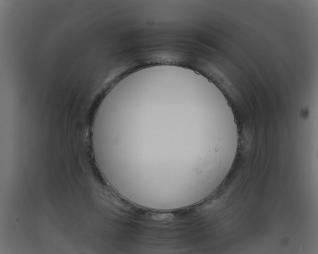 X0000093570355200710151021
