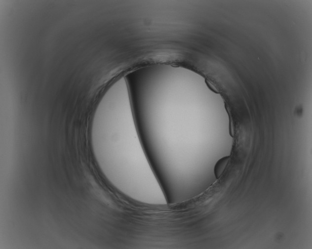 X0000093570356200710151021