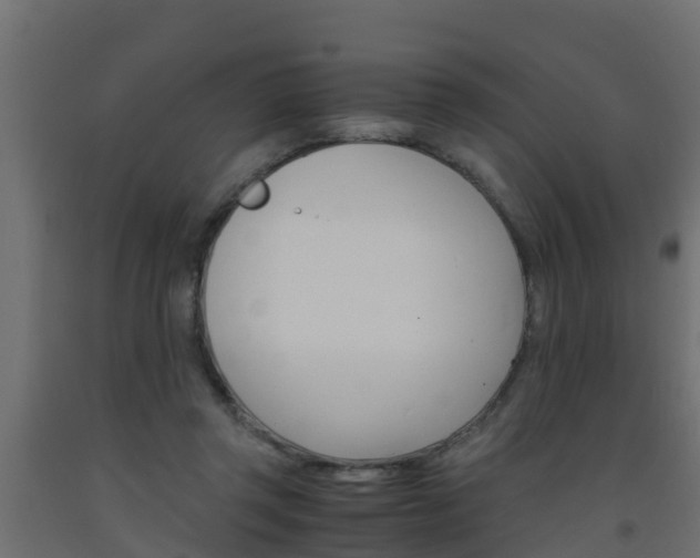 X0000093570357200710151021