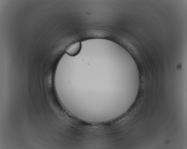 X0000093570358200710151021