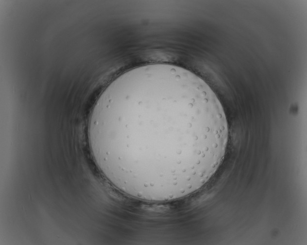 X0000093570359200710151021