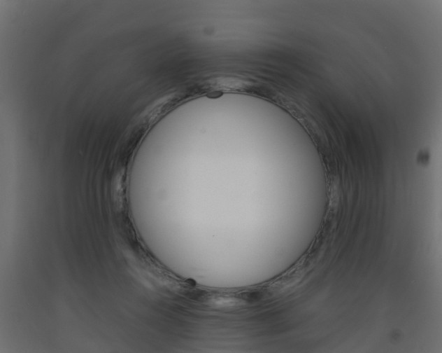 X0000093570360200710151021