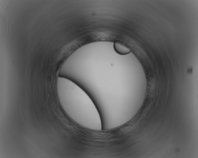 X0000093570361200710151021
