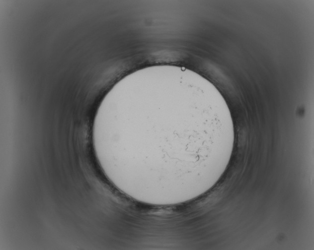 X0000093570362200710151021
