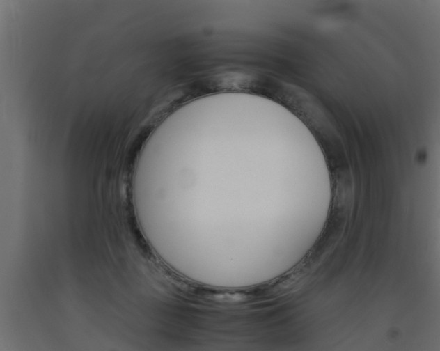 X0000093570363200710151021