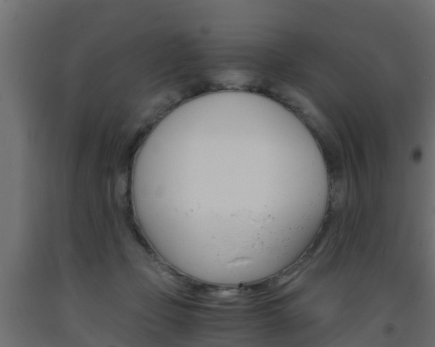 X0000093570365200710151021