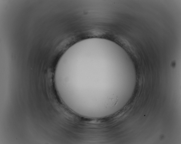 X0000093570366200710151021