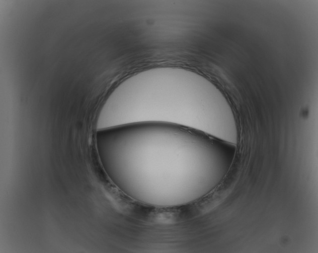 X0000093570368200710151021