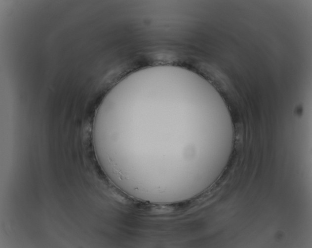X0000093570369200710151021