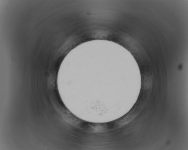 X0000093570370200710151021
