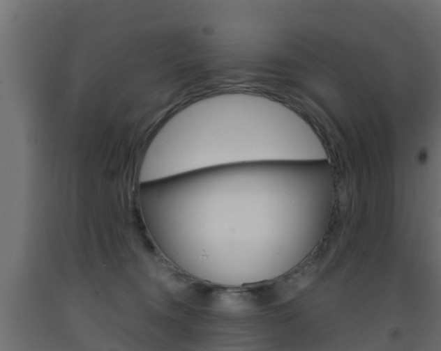 X0000093570372200710151021