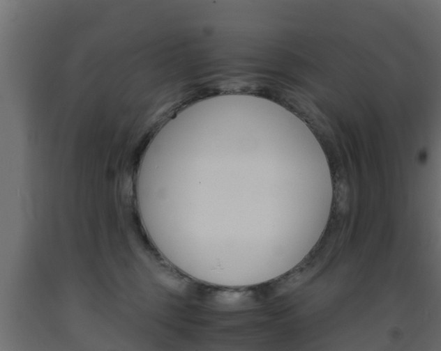 X0000093570375200710151021