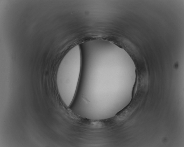 X0000093570376200710151021