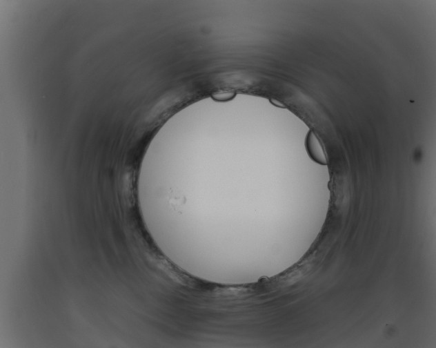 X0000093570378200710151021