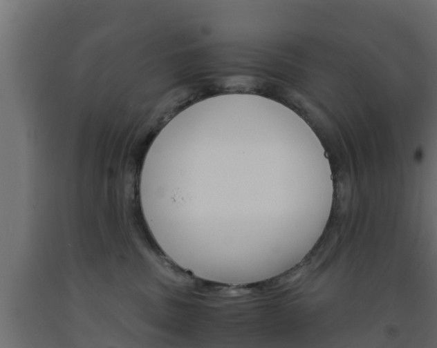 X0000093570379200710151021