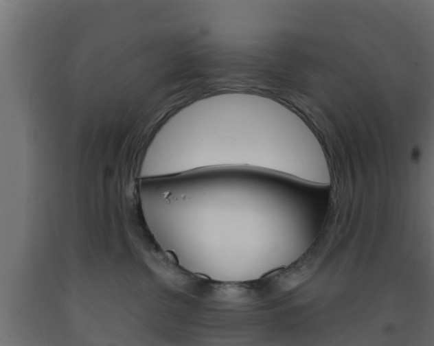 X0000093570380200710151021