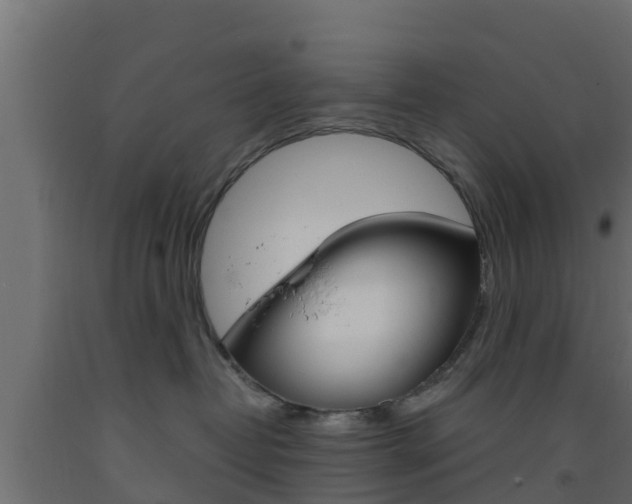 X0000093570382200710151021