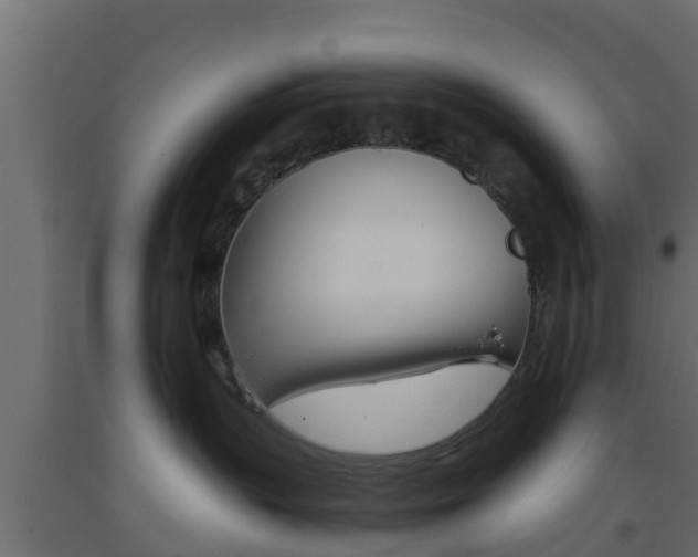 X0000093570383200710151021