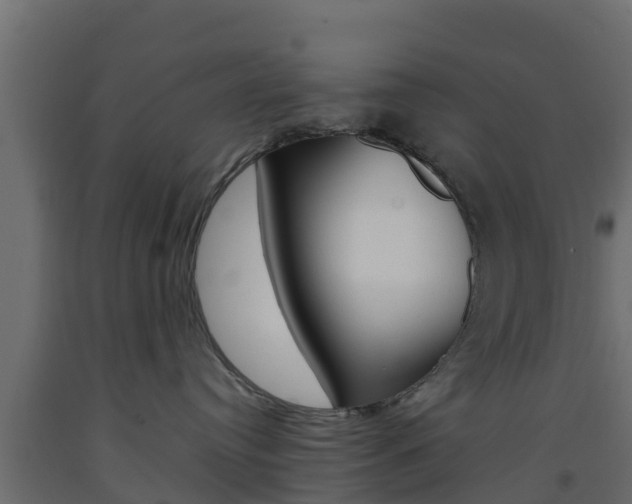 X0000093570384200710151021