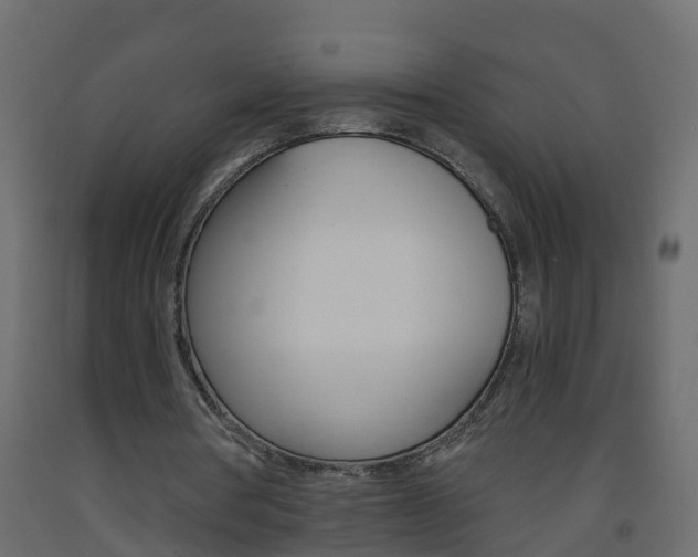X0000093570386200710151021