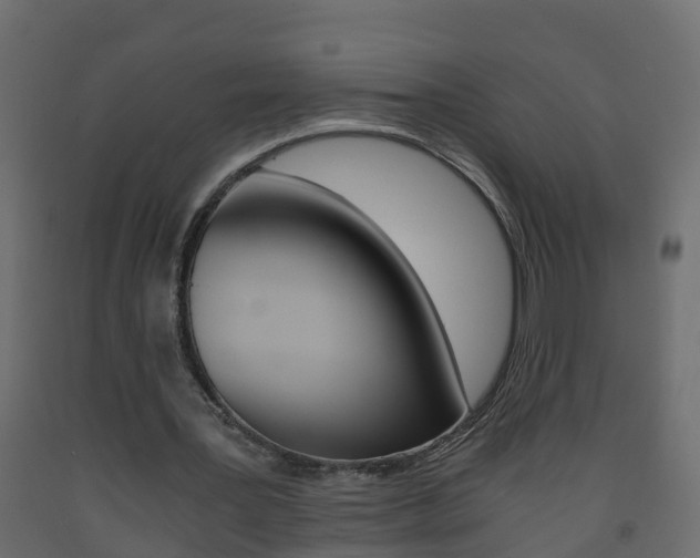 X0000093570387200710151021