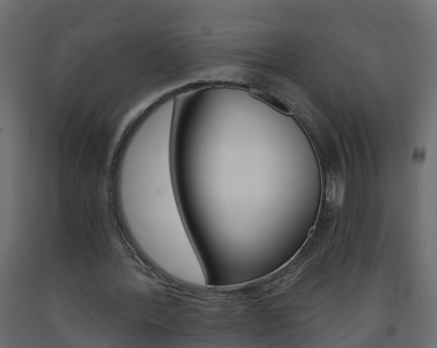 X0000093570388200710151021