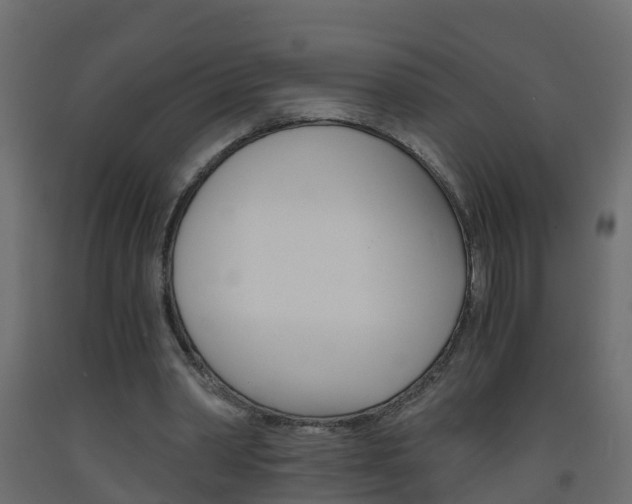 X0000093570390200710151021