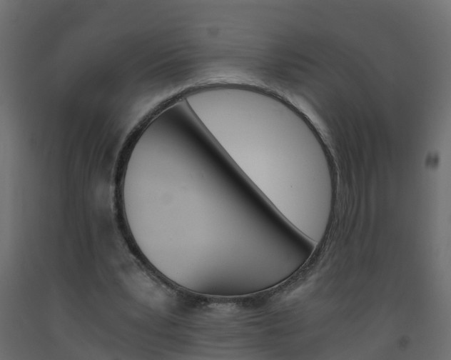 X0000093570391200710151021