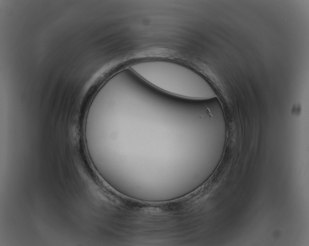 X0000093570392200710151021