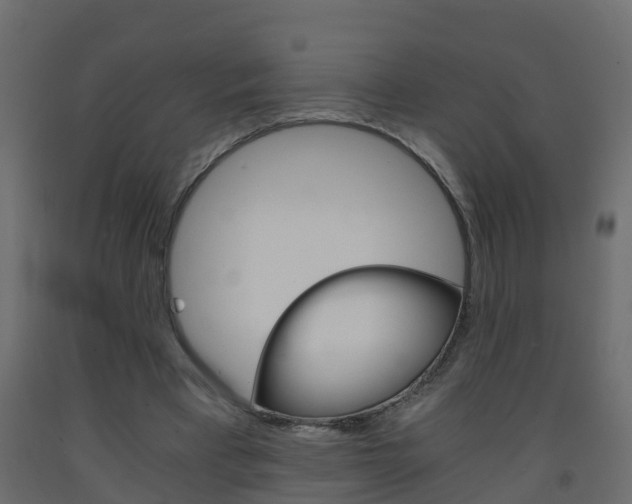 X0000093570393200710151021