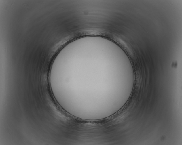 X0000093570394200710151021
