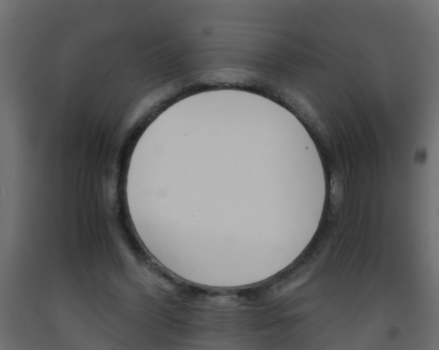 X0000093570396200710151021