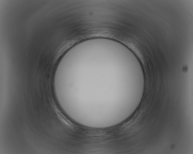 X0000093570397200710151021