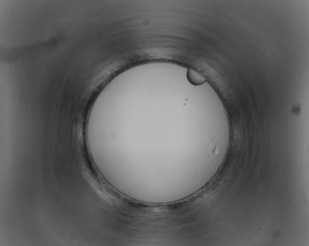 X0000093570398200710151021