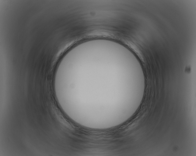 X0000093570399200710151021
